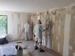 Why You Should Choose Our Mold Remediation Services in Shavano Park, TX